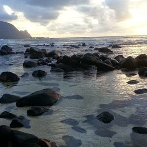 Meet your Posher, Firdausi